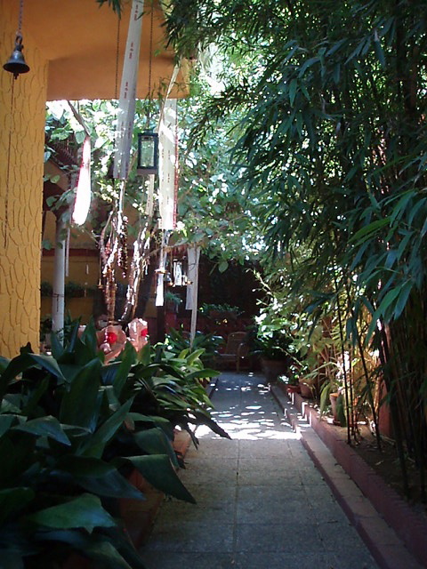 patio casa yoga